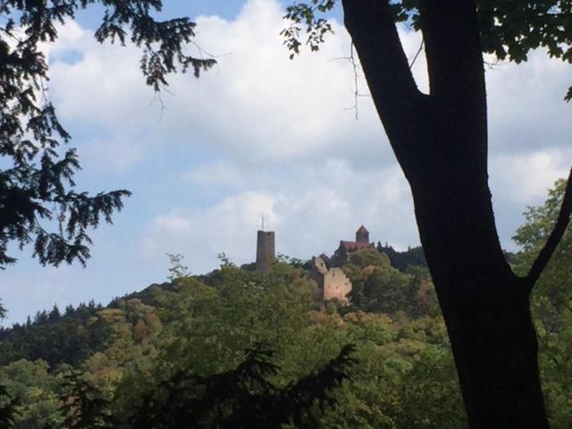 Ferienwohnung Burgenblilck Weinheim Dış mekan fotoğraf