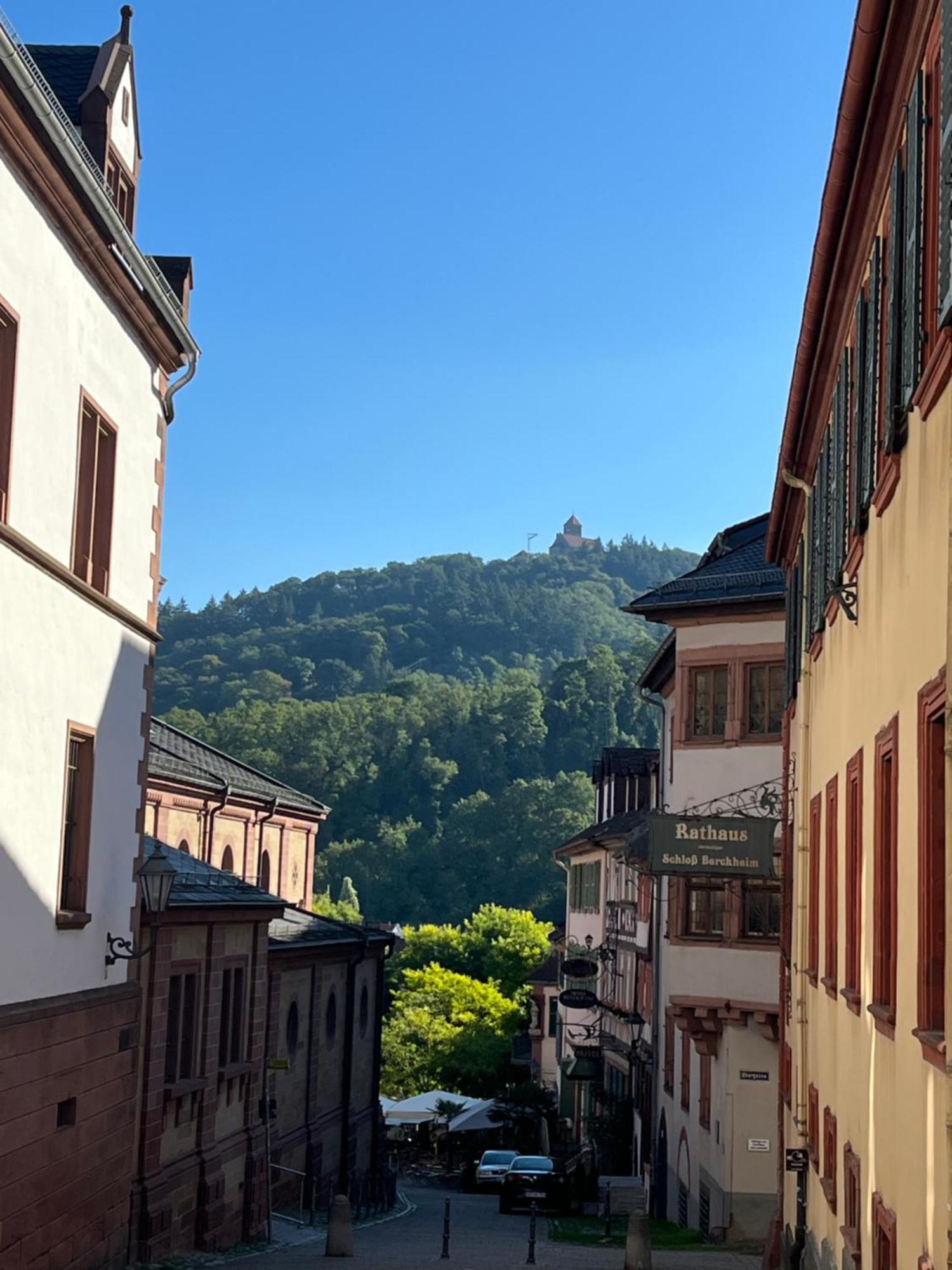 Ferienwohnung Burgenblilck Weinheim Dış mekan fotoğraf