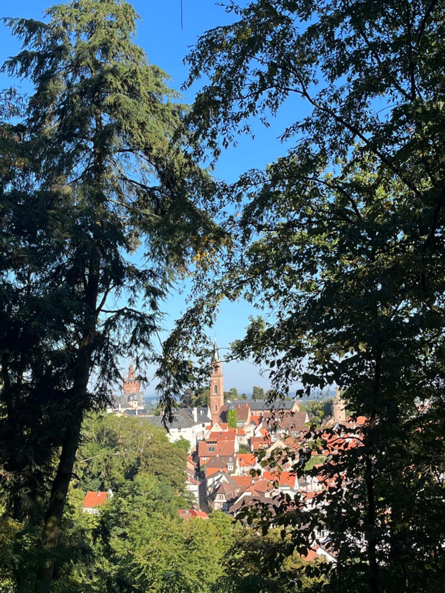 Ferienwohnung Burgenblilck Weinheim Dış mekan fotoğraf